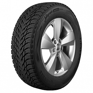 Шина Ikon Autograph Snow 3 SUV 215/70 R16 100R